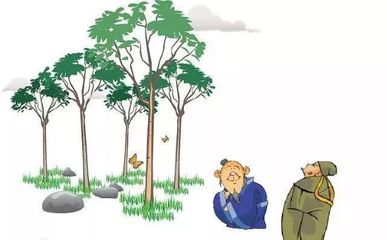 拒絕“流浪地球”，團(tuán)小西約你一起來(lái)植樹(shù)！